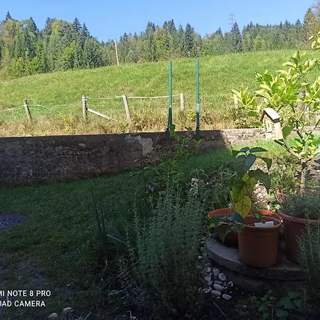 Apartment Gimpelchen *