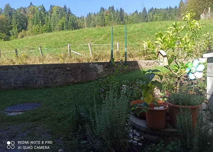 Apartment Gimpelchen *