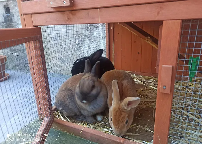 Gimpelchen Apartment Bad Aussee